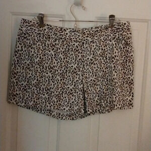 White House Black Market Women's Shorts